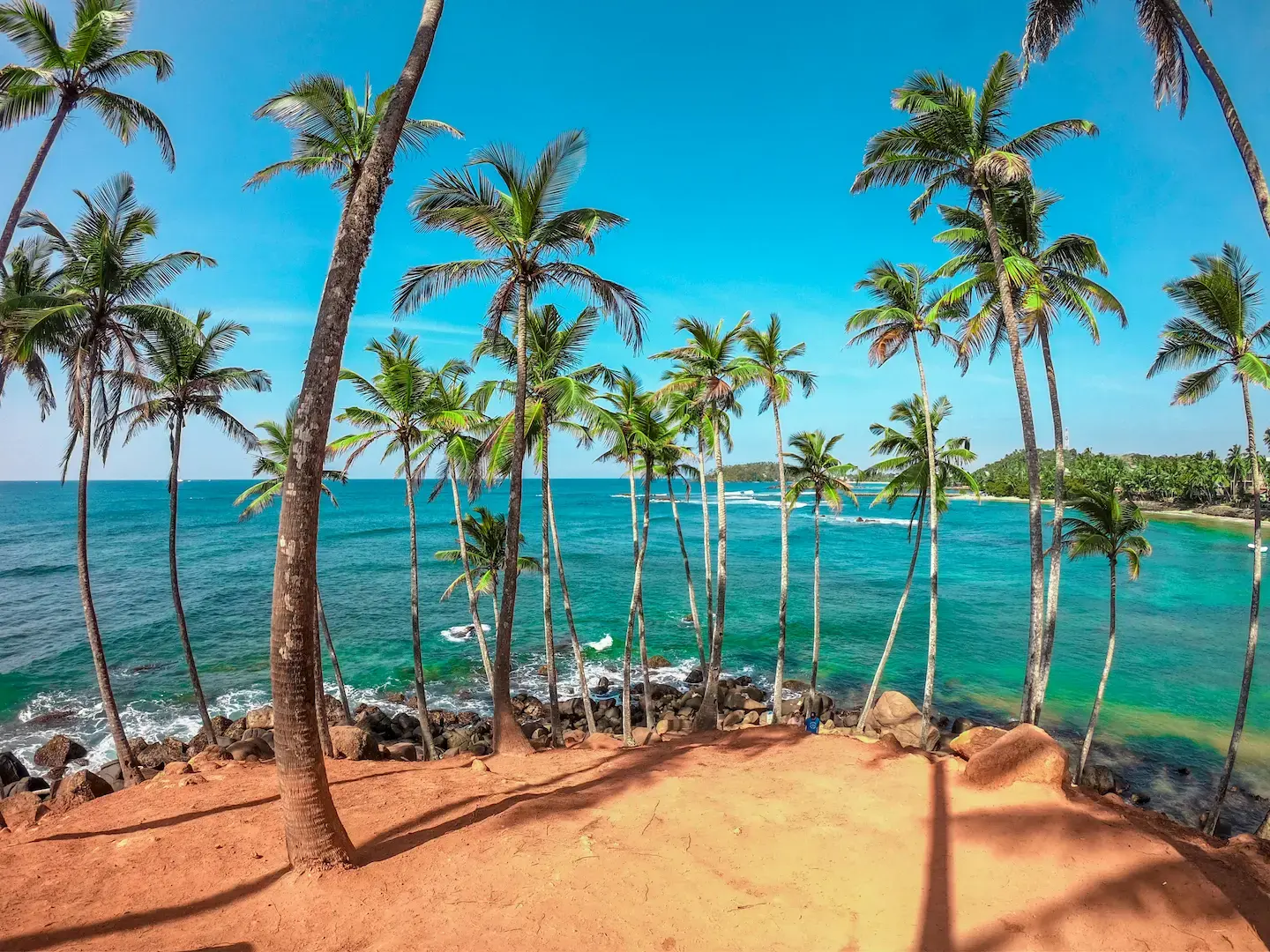 Palm trees leaning over a red-sand beach and turquoise sea